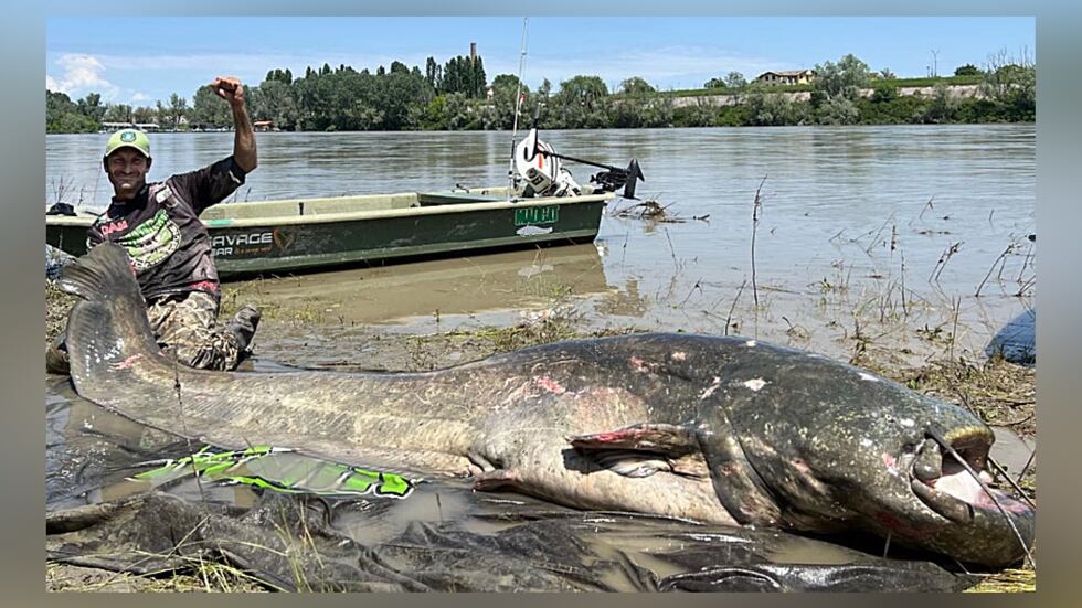 Alessandro Biancardi, an angler from Italy, recently caught a massive 9-foot-long catfish.