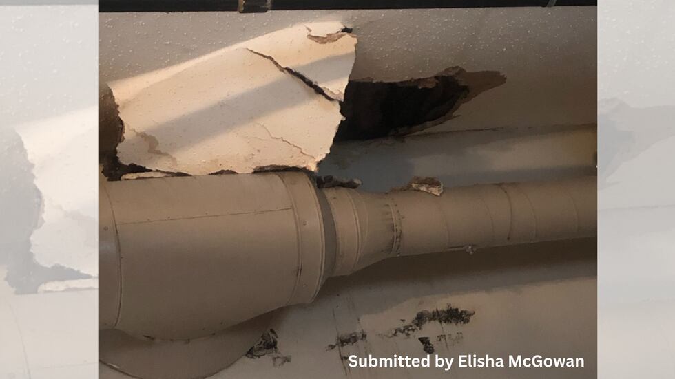Leaks began shortly after Elisha McGowan moved into her Andrew Wold-owned apartment at 309 N....