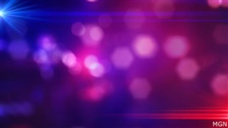 GENERIC GRAPHIC — police lights.